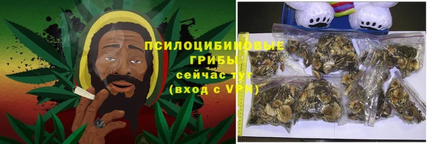 гашик Абинск